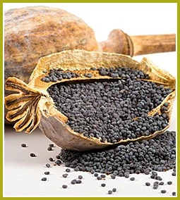 Gyakori kérdések a mákolajjal kapcsolatban