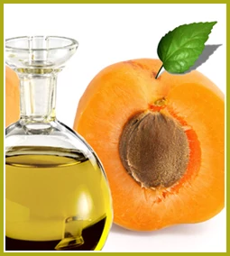A sárgabarackmag olaj bőrtápláló hatása